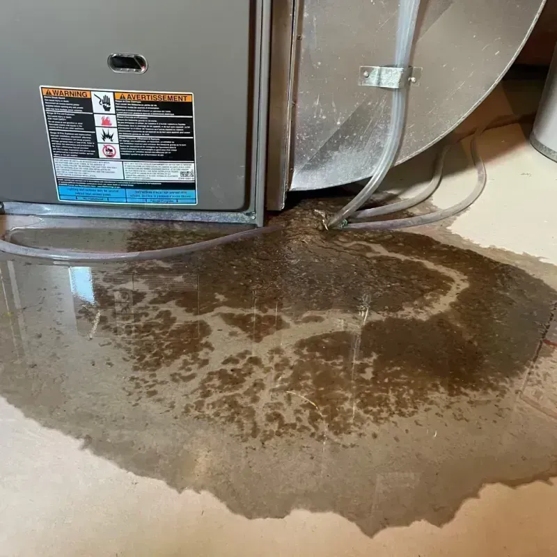 Appliance Leak Cleanup in Edgecliff Village, TX